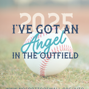 Fundraising Page: Holly Syhlman